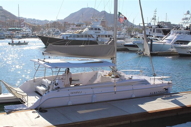Whale Watching Adventure With Pick up From Los Cabos Hotels - Recommendations and Tips