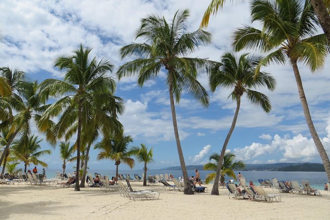 Whale Watching and Bacardi Island Day Trip From Punta Cana - Overview of the Tour