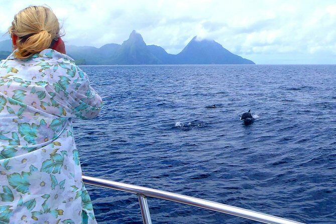 Whale Watching and Dolphin Spotting Cruise - Key Points