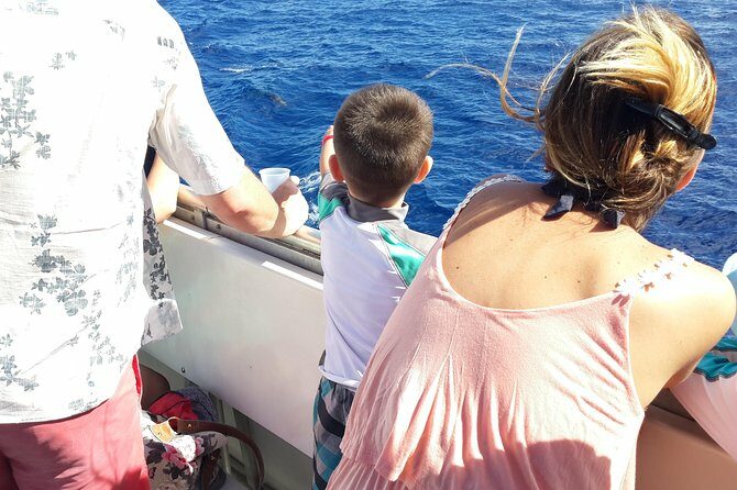 Whale Watching and Dolphin Spotting Cruise - Who Should Book This Tour?