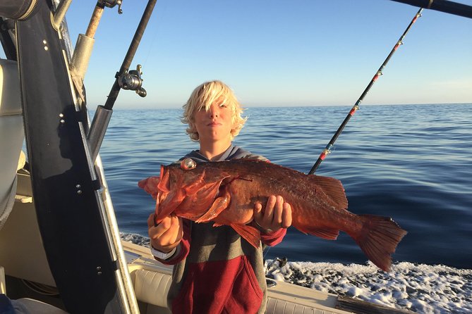 Whale Watching and Fishing Combination Excursions - What to Expect