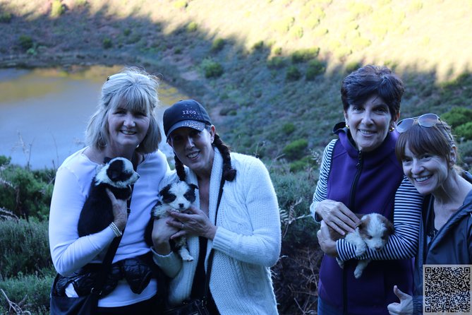 Whale Watching and Jeep Tour - Scenic Countryside Views