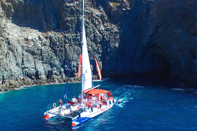 Whale Watching and Listening Eco Catamaran Tour With Food Tasting - Customer Reviews and Rating