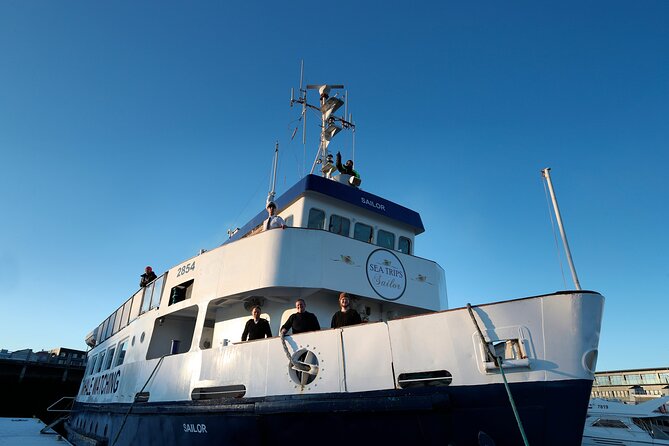 Whale Watching and Marine Life Tour in Reykjavik - Diverse Marine Life Sightings