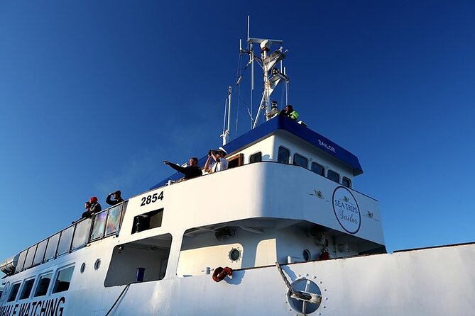 Whale Watching and Marine Life Tour in Reykjavik - Meeting Point and Pickup