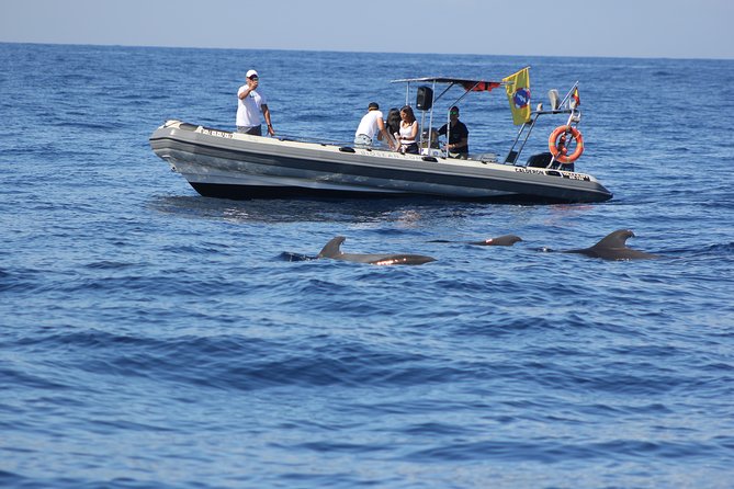 Whale Watching and Marine Science Tour - Inclusions