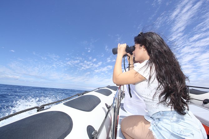 Whale Watching and Marine Science Tour - Directions