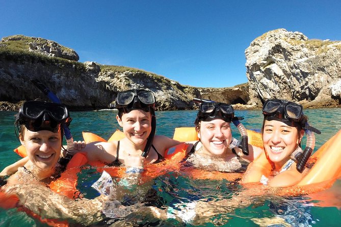 Whale Watching and Snorkeling in Marietas Islands National Park - Pricing and Cancellation Policy