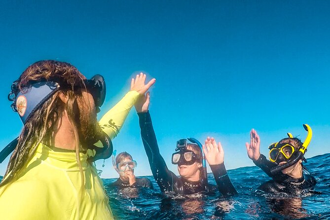 Whale Watching and Swim With Whales Cruise From Mooloolaba - Meeting and Arrival Information