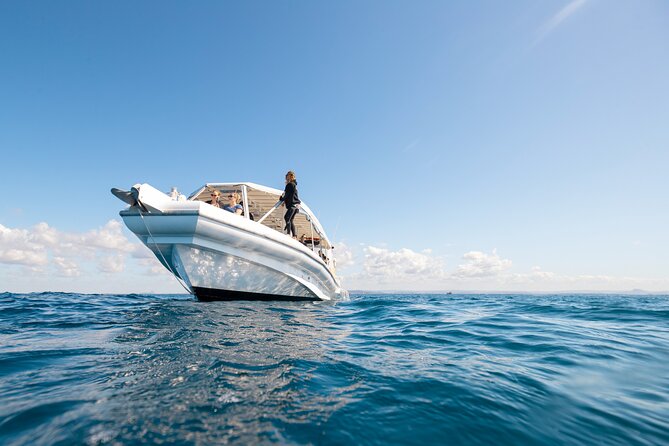 Whale Watching and Swim With Whales Cruise From Mooloolaba - Tour Cancellation Policy