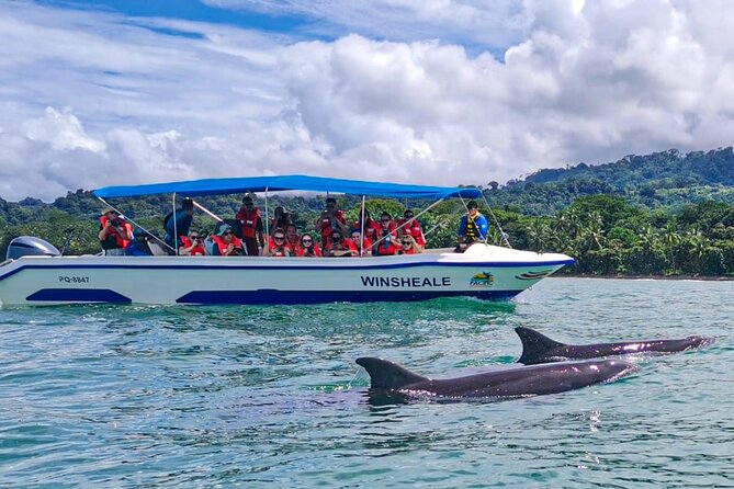 Whale Watching at the Marino Ballena National Park - Inclusions and Amenities