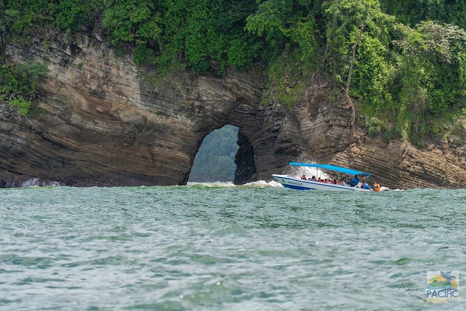 Whale Watching at the Marino Ballena National Park - Meeting and Pickup Information