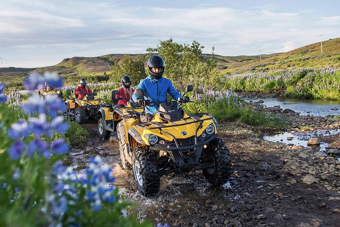 Whale Watching & ATV Adventure From Reykjavik - Additional Important Details