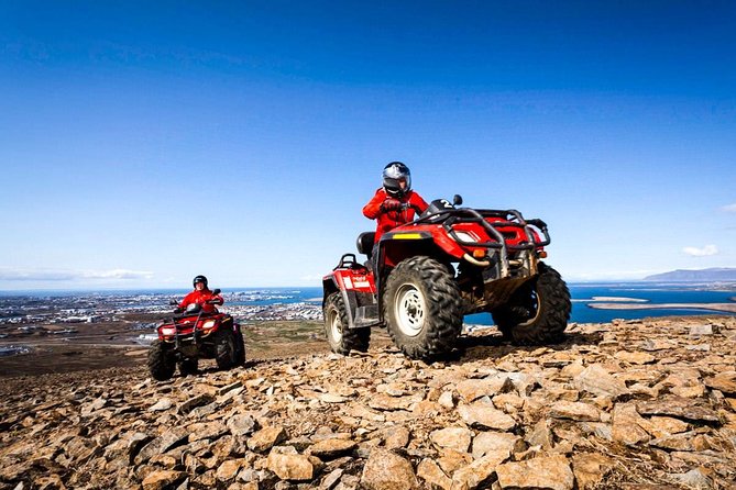 Whale Watching & ATV Adventure From Reykjavik - What to Expect