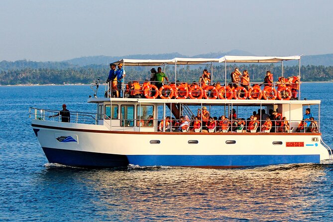 Whale Watching Boat Tour From Galle - Whale Watching Experience