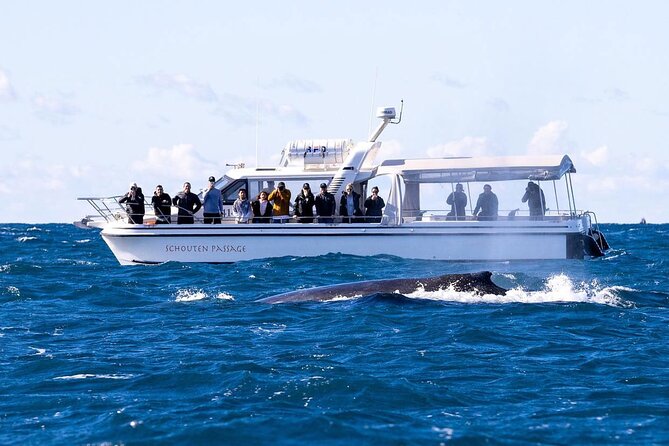 Whale Watching Boat Trip in Sydney - Whale Sighting Guarantee