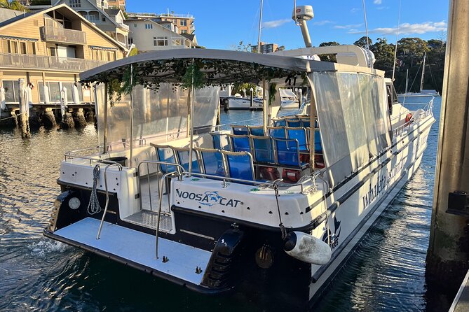 Whale Watching Boat Trip in Sydney - Suitable for Kids and Adults