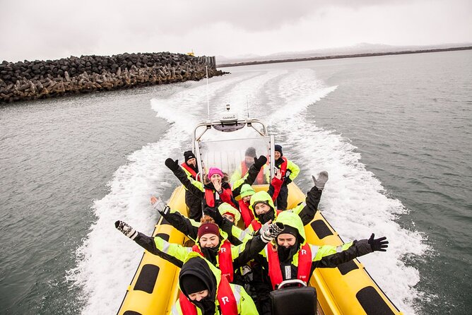 Whale Watching by RIB Speedboat From Downtown Reykjavik - Cancellation and Safety Guidelines