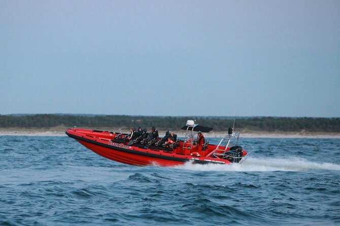 Whale Watching by RIB Speedboat From Downtown Reykjavik - Customer Feedback and Experiences