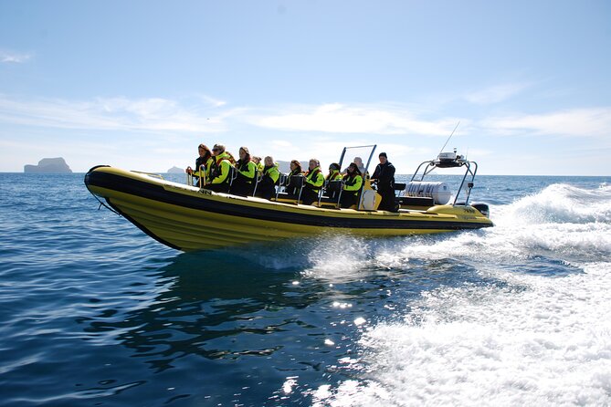 Whale Watching by RIB Speedboat From Downtown Reykjavik - Preparing for the Tour