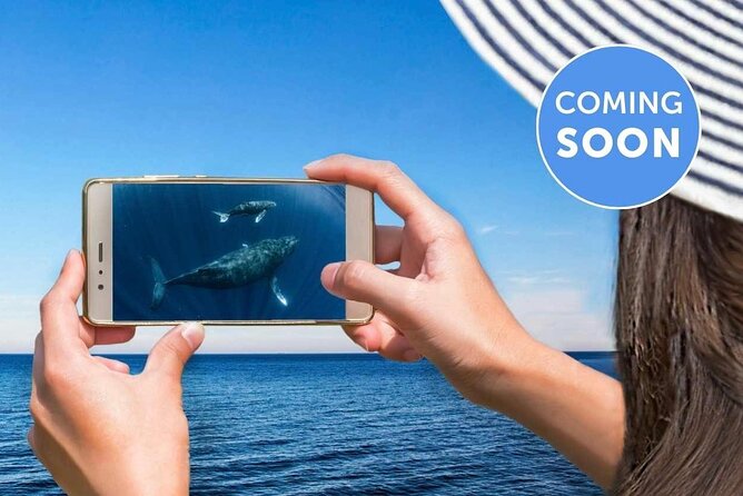 Whale Watching by Sea World Cruises - Cruise Duration and Experience