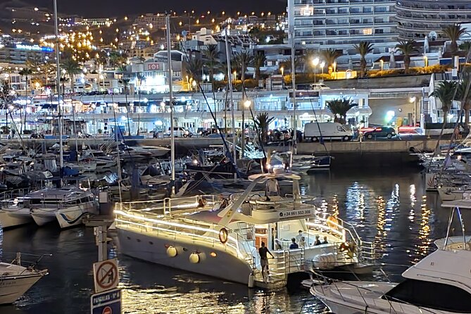 Whale Watching Catamaran Cruise With Transfer, Buffet by MC - Accessibility and Participation