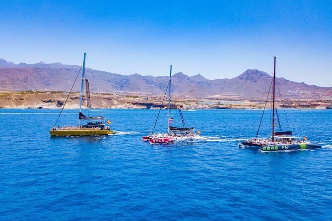 Whale Watching Catamaran in Costa Adeje (Including Drinks & Sandwich) - Tour Duration and Capacity