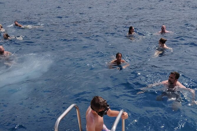 Whale Watching Catamaran in Costa Adeje (Including Drinks & Sandwich) - Booking Confirmation Process