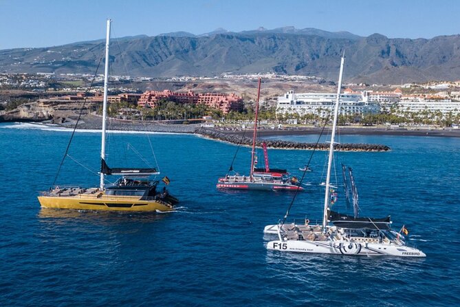 Whale Watching Catamaran in Costa Adeje (Including Drinks & Sandwich) - Additional Tour Highlights