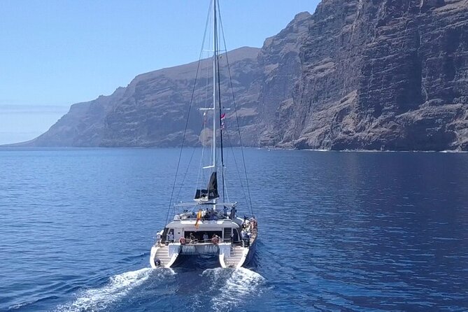 Whale Watching Catamaran to Los Gigantes & Masca (Including Drinks & Warm Lunch) - Good To Know