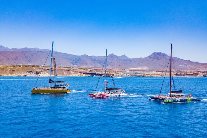 Whale Watching Catamaran to Los Gigantes & Masca (Including Drinks & Warm Lunch) - Health and Safety Information