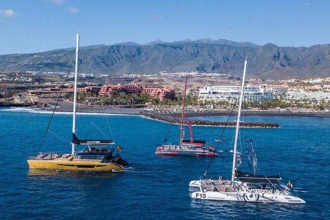 Whale Watching Catamaran to Los Gigantes & Masca (Including Drinks & Warm Lunch) - Scenic Viewing Opportunities