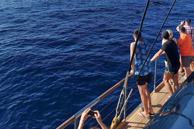 Whale Watching Catamaran to Los Gigantes & Masca (Including Drinks & Warm Lunch) - Tour Recommendations