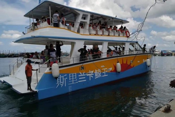 Whale Watching Cruise From Galle & Mirissa - Pickup and Transportation Options