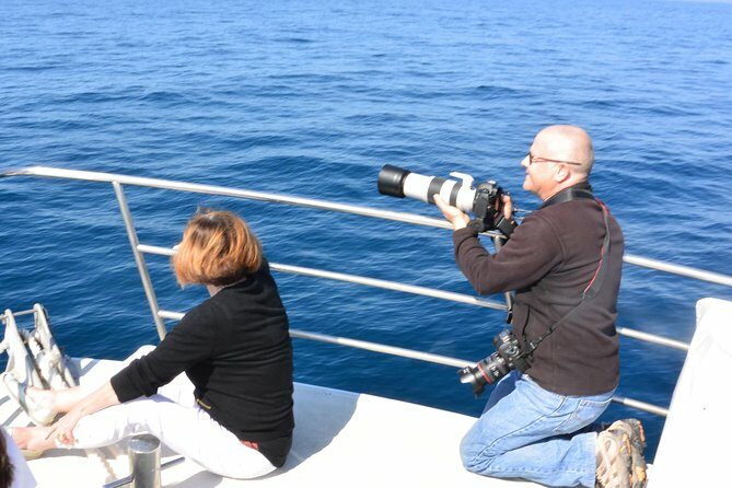 Whale Watching Cruise from Mooloolaba - FAQ