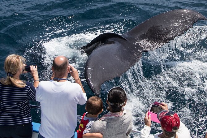 Whale-Watching Cruise From Newport Beach - Meeting Location and Parking