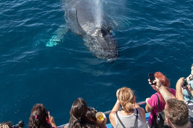 Whale-Watching Cruise From Newport Beach - Cancellation and Refund Policy