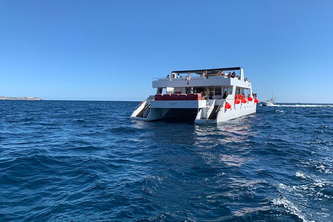 Whale Watching Cruise in Cabos San Lucas and Ground Transportation - Customer Reviews