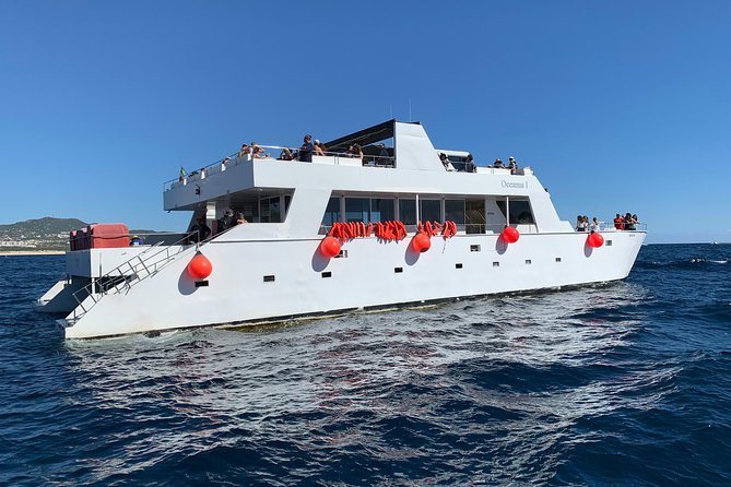 Whale Watching Cruise in Cabos San Lucas and Ground Transportation - Booking Confirmation