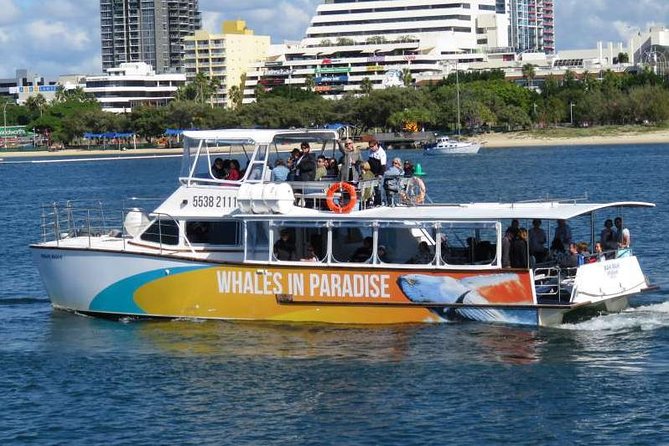 Whale Watching Cruise With Kingfisher Tours Srilanka - Tour Overview and Experience