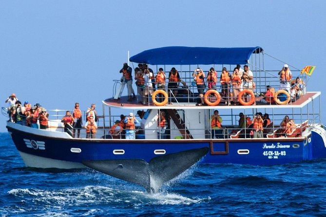 Whale Watching Cruise With Kingfisher Tours Srilanka - Customer Reviews and Feedback