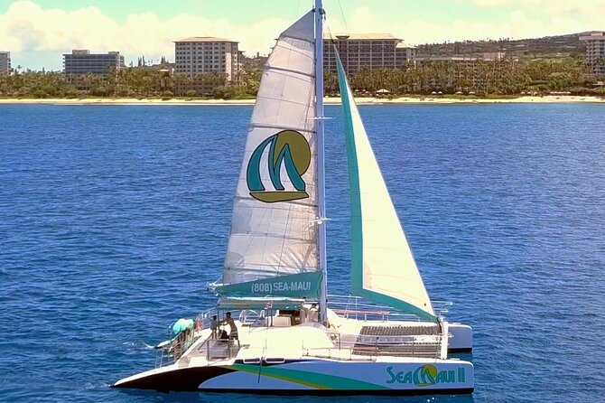 Whale Watching Cruise With Open Bar From Kaanapali Beach - Catamaran Amenities