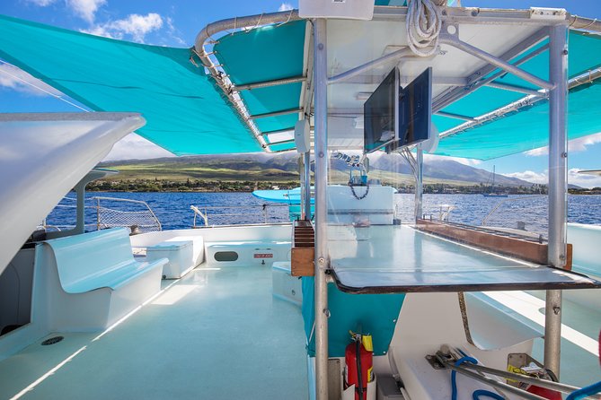 Whale Watching Cruise With Open Bar From Kaanapali Beach - Departure and Parking