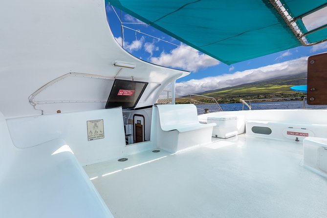 Whale Watching Cruise With Open Bar From Kaanapali Beach - Cancellation Policy