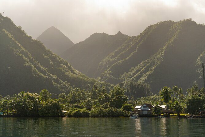 Whale watching DE Tahiti Peninsula - Practical Details: Making the Most of Your Trip