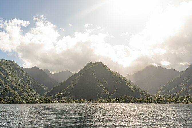 Whale watching DE Tahiti Peninsula - Final Thoughts: Is This Tour Right for You?