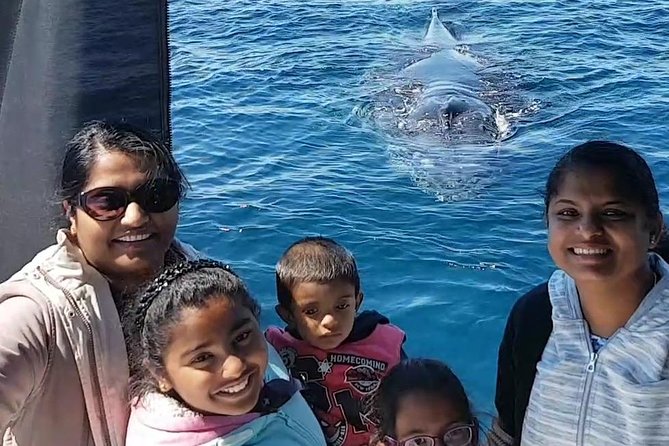Whale Watching Dunsborough - Whale Migration Patterns
