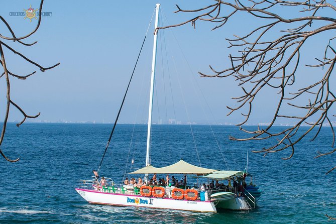 Whale Watching Expedition - Whats Included