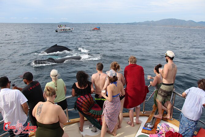Whale Watching Experience All-Inclusive Adventure - Accessibility and Participation