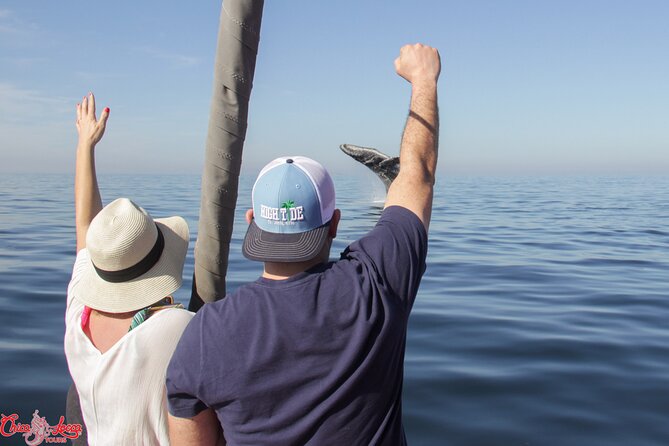 Whale Watching Experience All-Inclusive Adventure - Crew and Service Quality